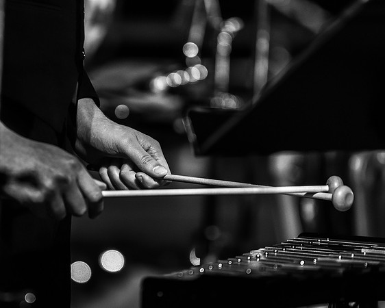 DSC_1986